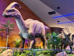 Mengintip Isi Tahir Solo Museum di Solo, Ada Diorama Antariksa, Robotik, dan Dinosaurus
