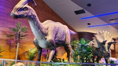 Mengintip Isi Tahir Solo Museum di Solo, Ada Diorama Antariksa, Robotik, dan Dinosaurus